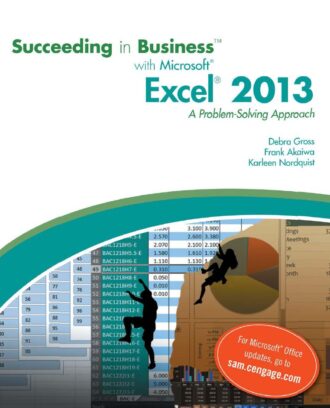 Succeeding in Business with Microsoft® Excel® 2013