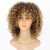 14 Inches Women’s Wigs Afro Kinky Curly Synthetic Short Wigs